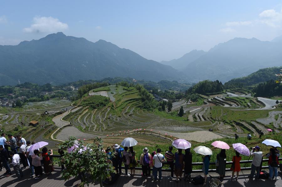 Scenery of Yunhe terrace fields in Zhejiang
