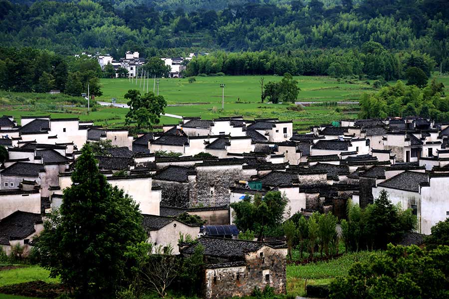 Summer scene at Hongcun village in Anhui province