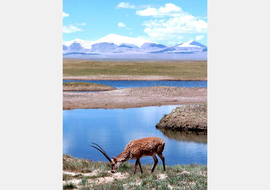 Qinghai-Tibet Railway, world's highest and longest plateau railroad