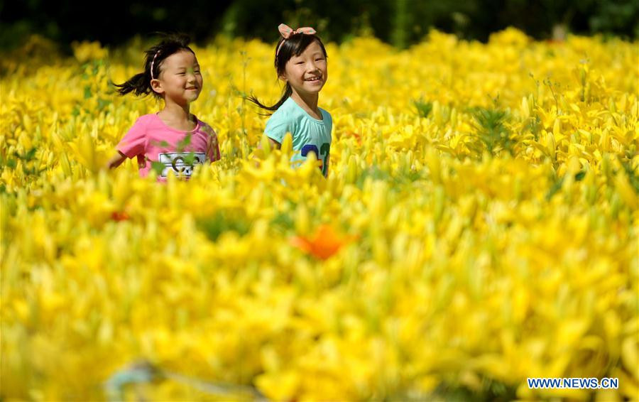 Tourists enjoy scenery of lily flowers in Shenyang, China's Liaoning