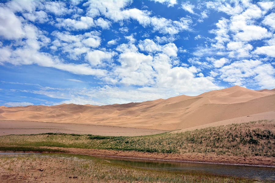 Altyn Mountains nature reserve: Paradise for plants and wild animals