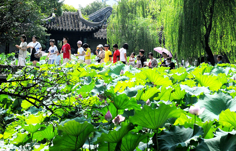 Lotus flower brightens Zhuozheng garden in Suzhou