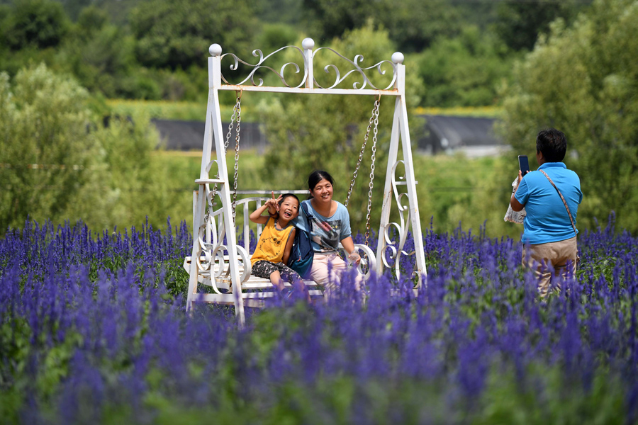 Flowers turn Beijing suburbs into riot of colors