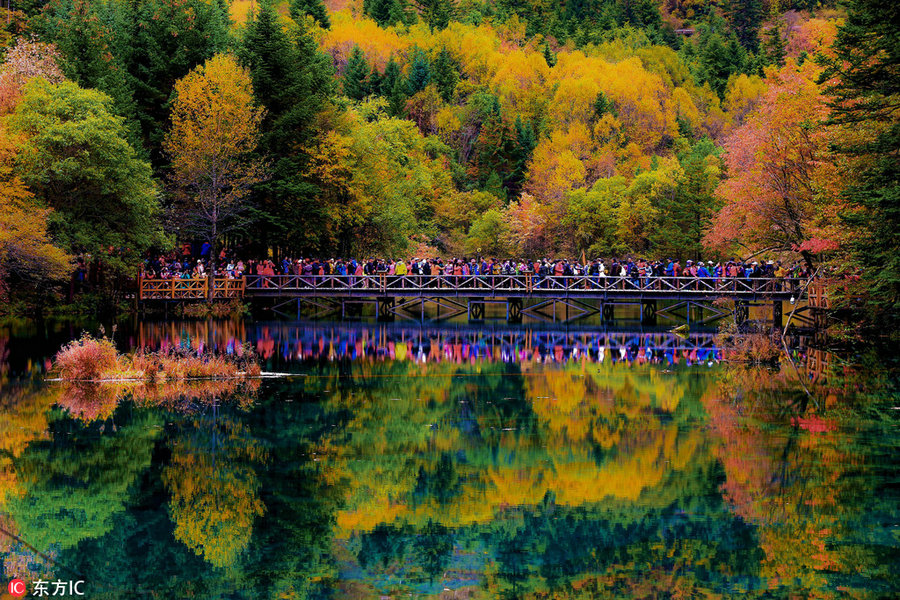 Best places to enjoy autumn's golden landscapes in China