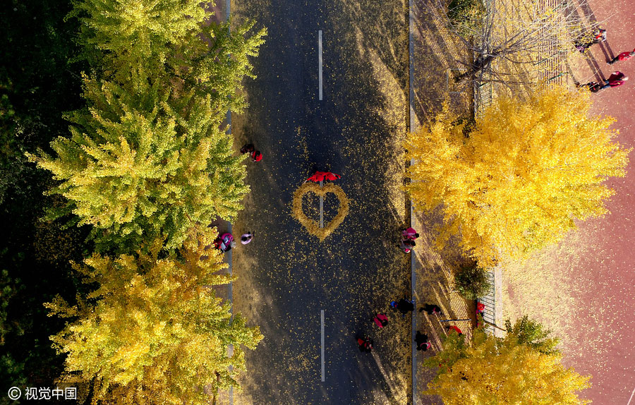 10 best places to enjoy golden foliage in China