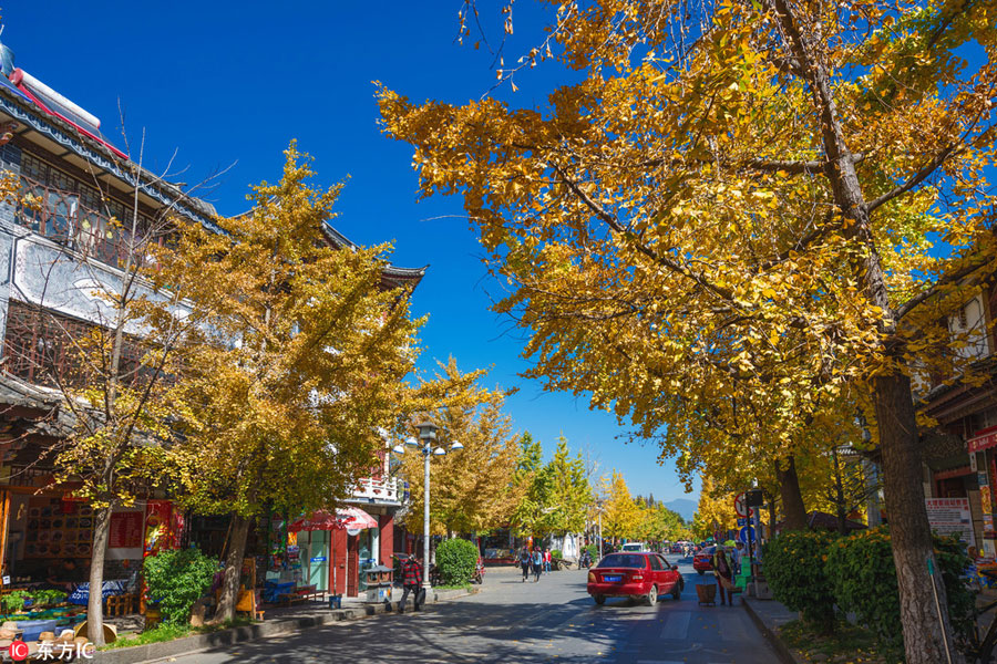 10 best places to enjoy golden foliage in China