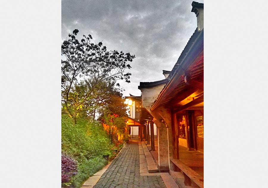 Wuzhen, a serene town of land and water