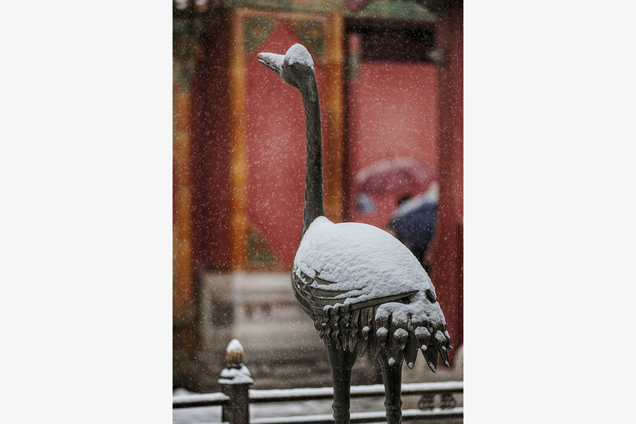 First snow at Forbidden City