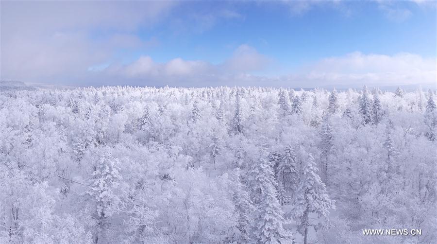 Rime scenery of Xianfeng Forest Park in Northeast China
