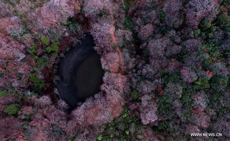 Gift from earth: Giant karst sinkholes found in NW China