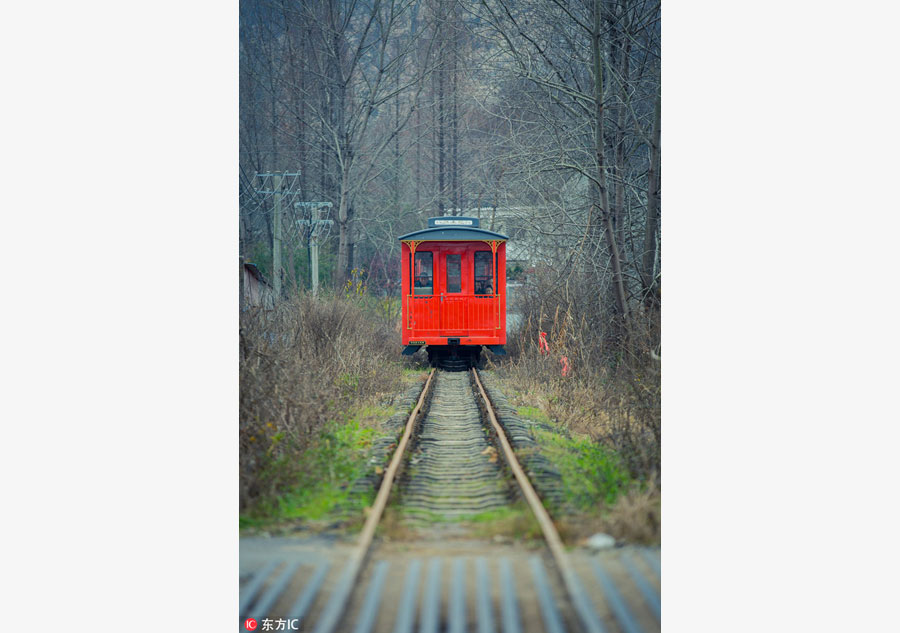 A break from city hustle on 'slowest train'