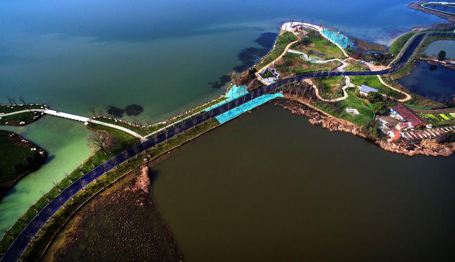 Greenways across Donghu Lake in Central China's Wuhan