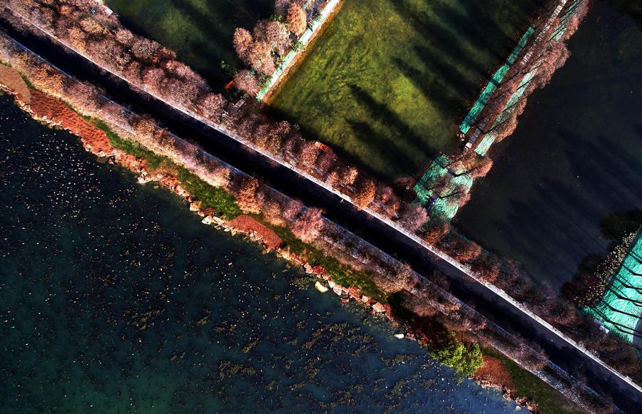 Greenways across Donghu Lake in Central China's Wuhan