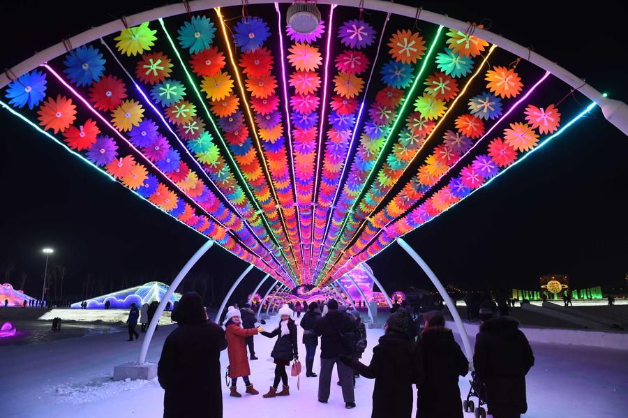 Harbin Ice and Snow World opened to public in NE China