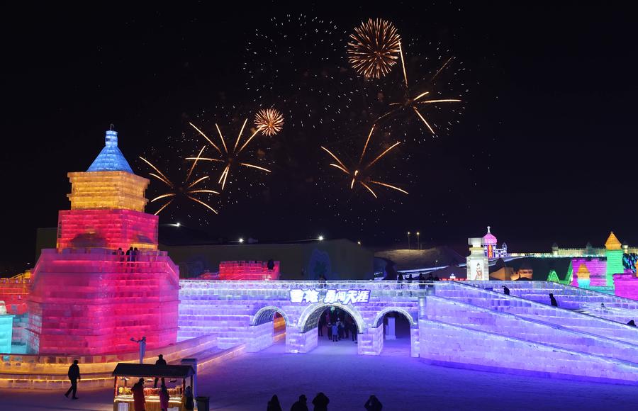 Harbin Ice and Snow World opened to public in NE China