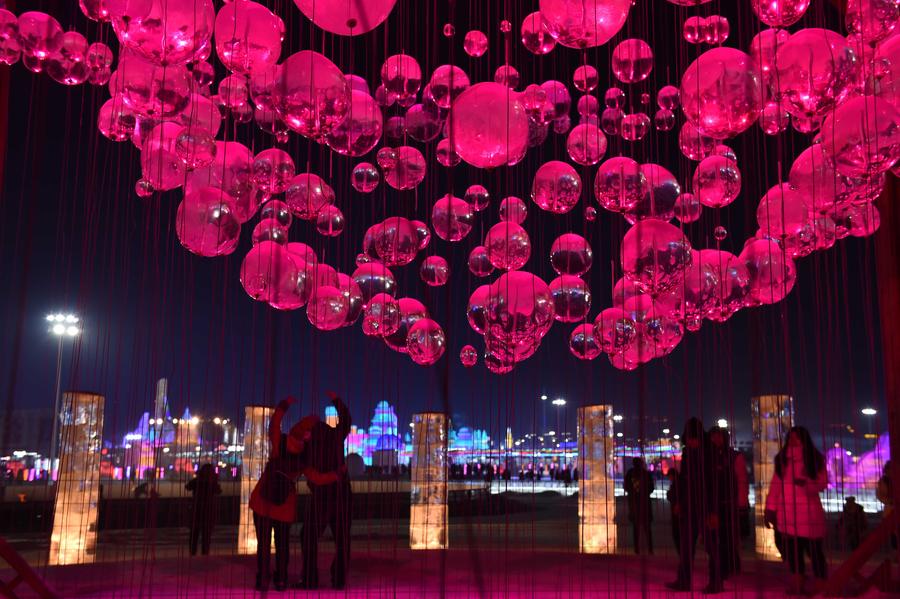 Harbin Ice and Snow World opened to public in NE China