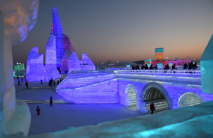 Harbin Ice and Snow World opened to public in NE China