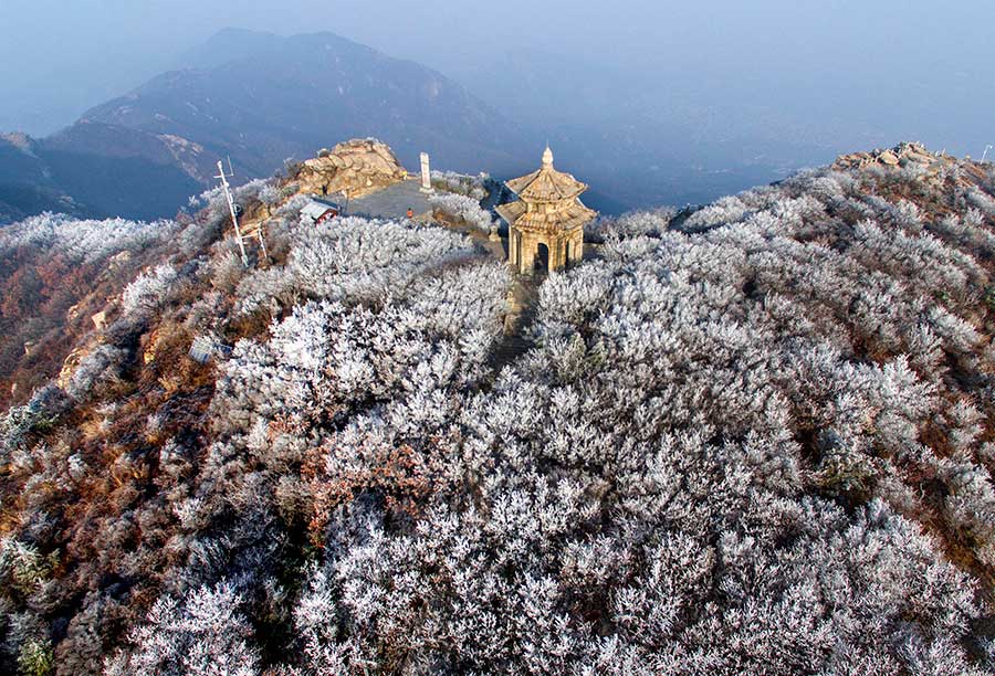 Frosted beauty captured in rime at Huaguo mountain, Jiangsu province