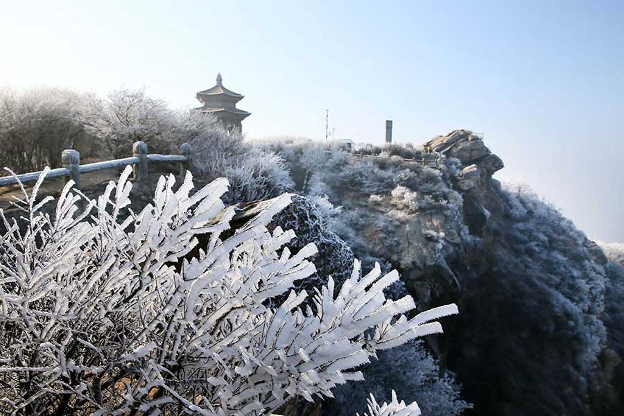 Frosted beauty captured in rime at Huaguo mountain, Jiangsu province