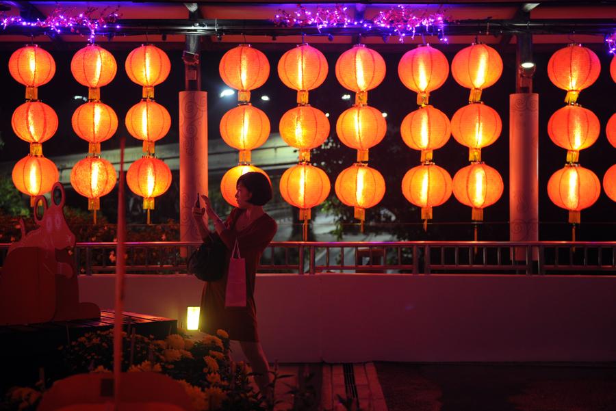 Light exhibition held in Singapore to celebrate Chinese Lunar New Year