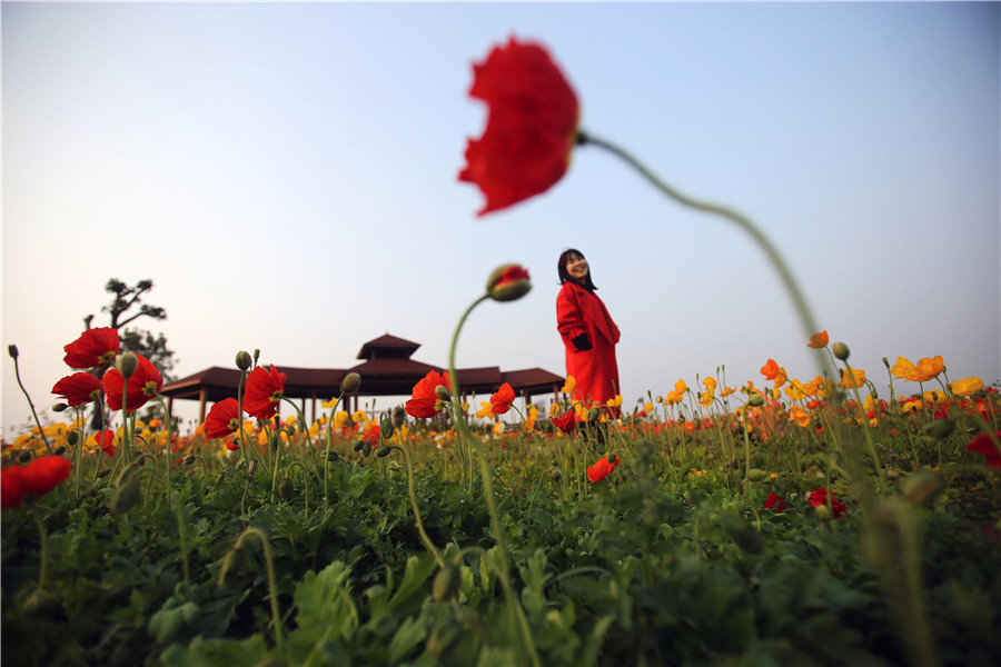 Spring returns to land as temperature rises