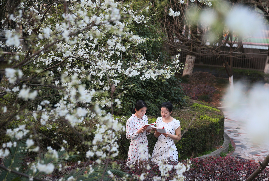 Spring returns to land as temperature rises