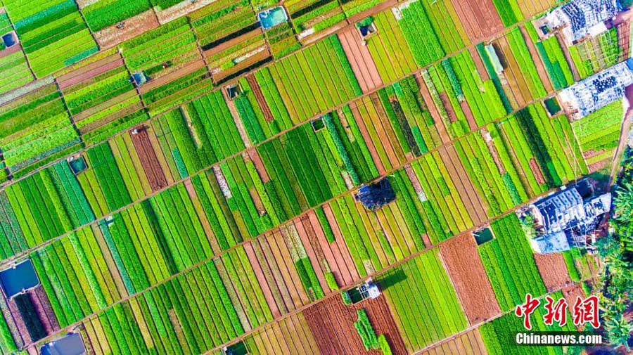 Colorful Yunnan captured in aerial photos