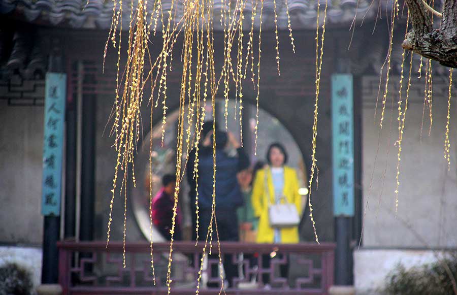 Zhuozheng garden in Suzhou gets spring color