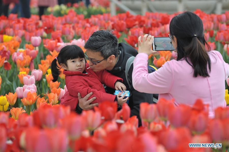 Tourists enjoy tulip blossoms in C China's Hunan