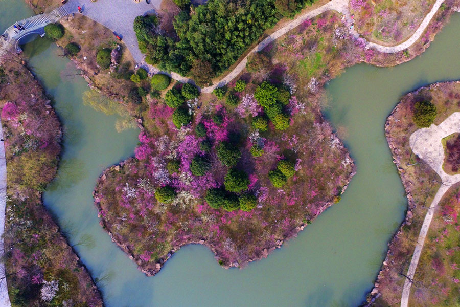 Spring flowers decorate Slender West Lake