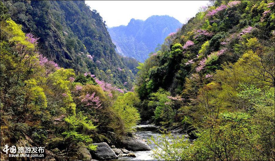 Spring scenery of Tangjiahe National Nature Reserve