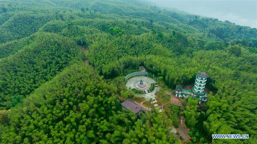 Aerial view of Bamboo Forest Park in SW China