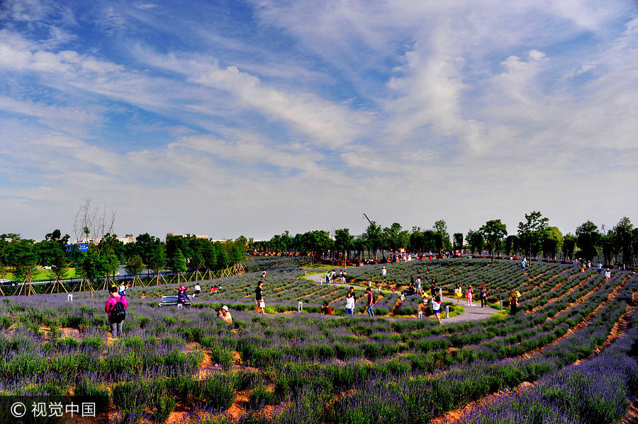 Crowds flock to free Vanilla Garden in Shanghai