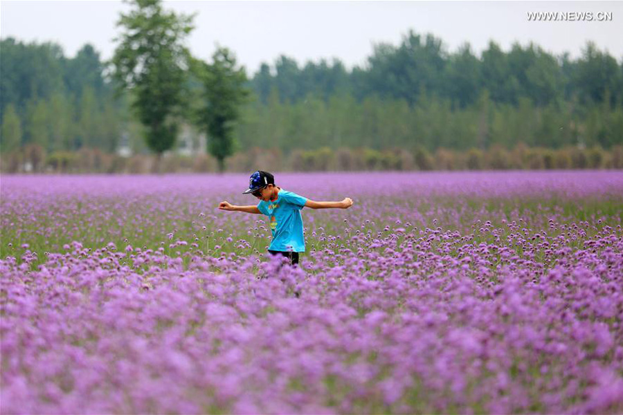 Tourists have fun in flowers at parks in E China