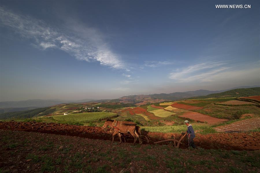 Scenery of Dongchuan Red Land in Yunnan