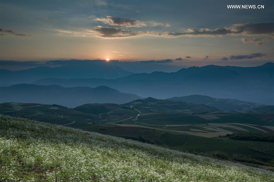 Scenery of Dongchuan Red Land in Yunnan