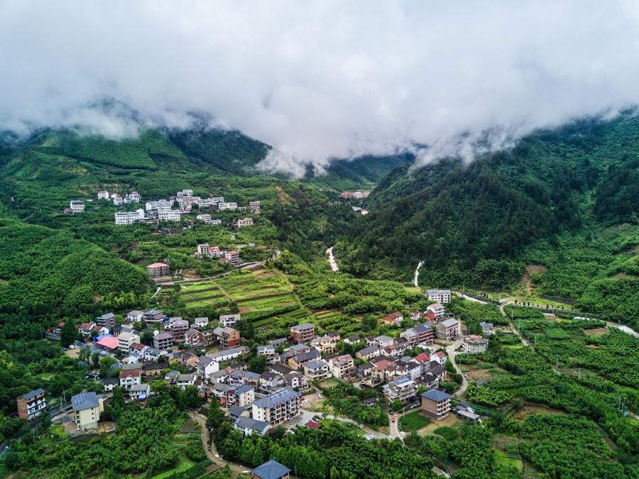 Aerial view of Tianmu Mountain natural conservation area in E China