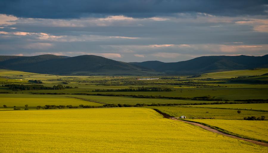 Aerial view of Hulun Buir grassland