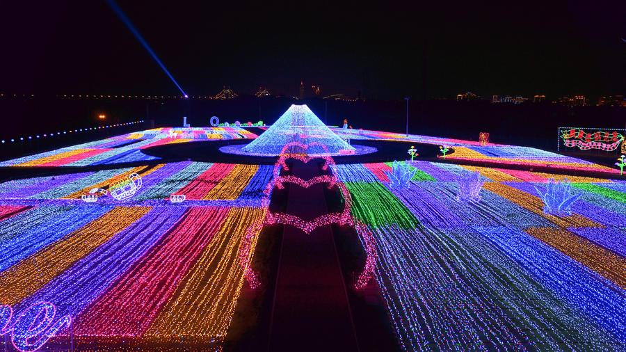 2017 Harbin Int'l Rose Light Festival opens in NE China