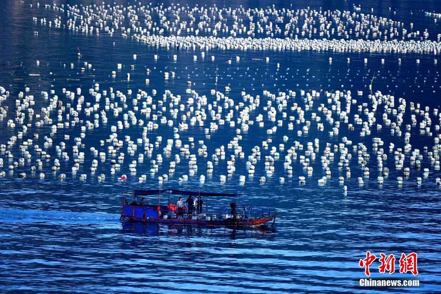 China 'Dream Coast' makes CNN top 40 most beautiful places list
