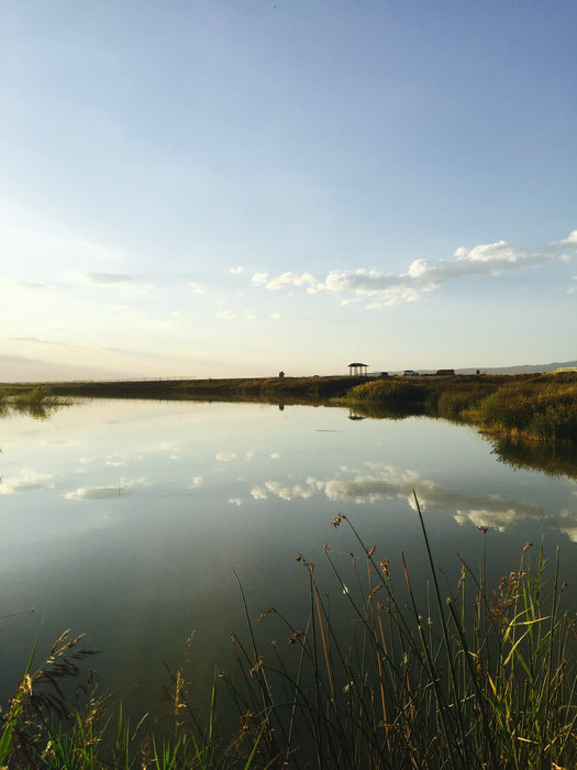 Natural beauty of Gaojiahu wetland in Xinjiang's summer