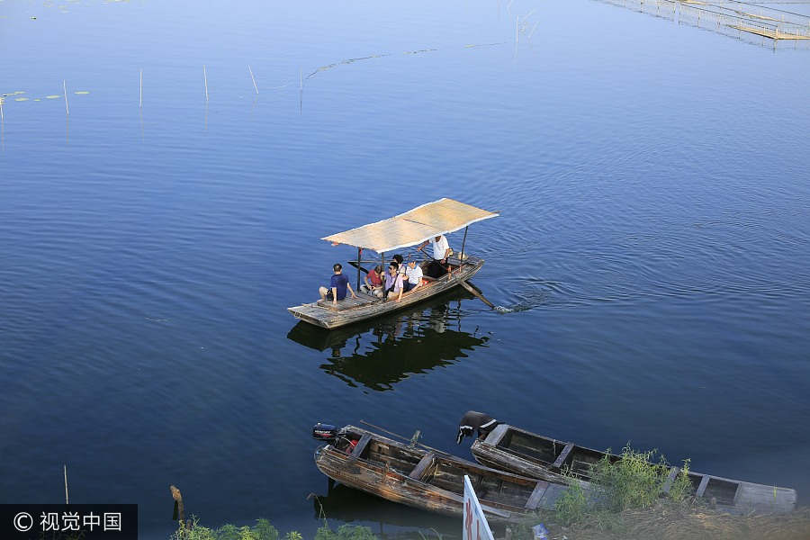 Baiyangdian Lake embraces most beautiful season in Hebei