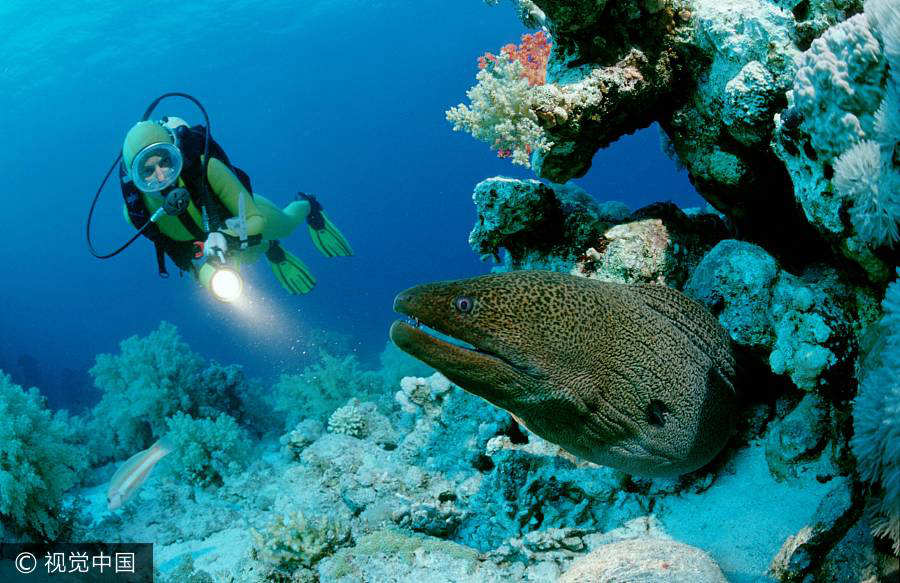 10 best diving destinations in the world