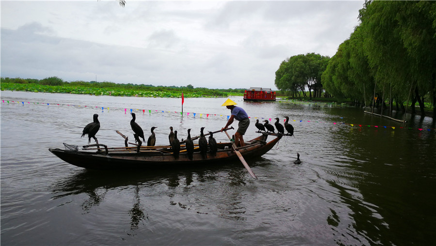 Hubei's Honghu encourages eco-agricultural tourism