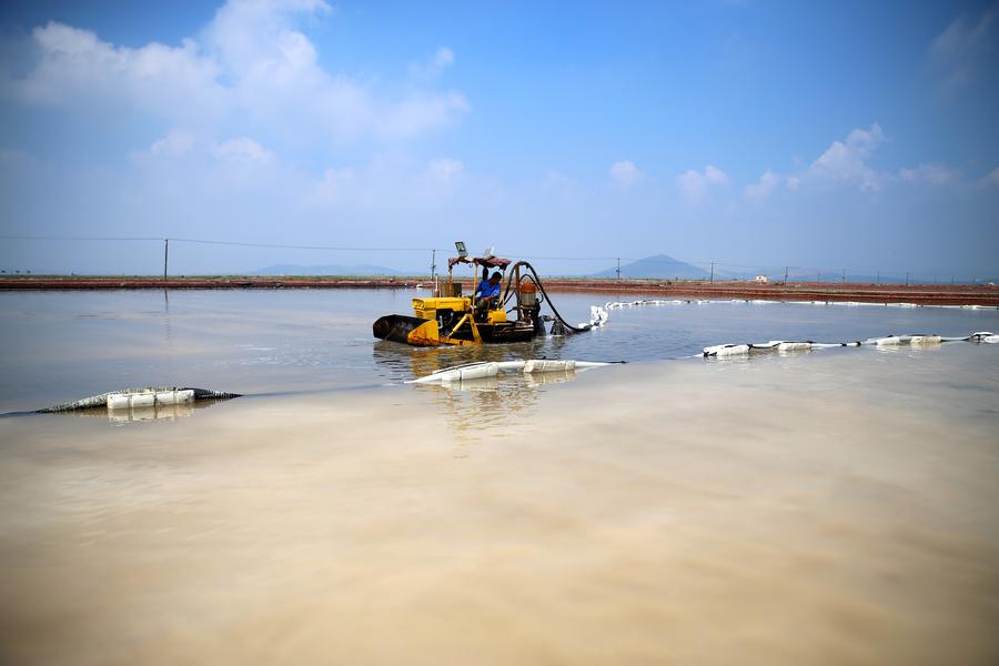 Salt fields enter into harvest season in Liaoning