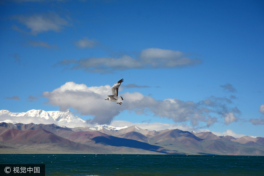 Scenery of Ngari prefecture in China's Tibet