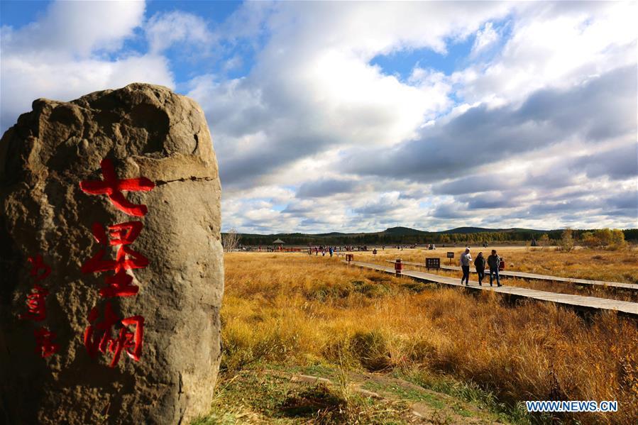 Scenery of Saihanba forest in N China's Hebei