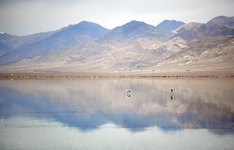 Glamorous Qinghai enchants in autumn