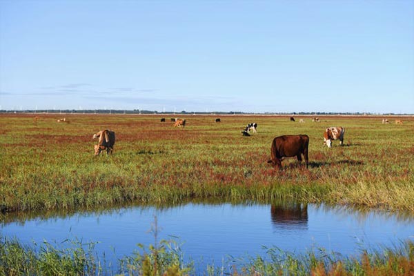 Jilin in autumn: Warm sunshine, bright colors and vibrant scenery