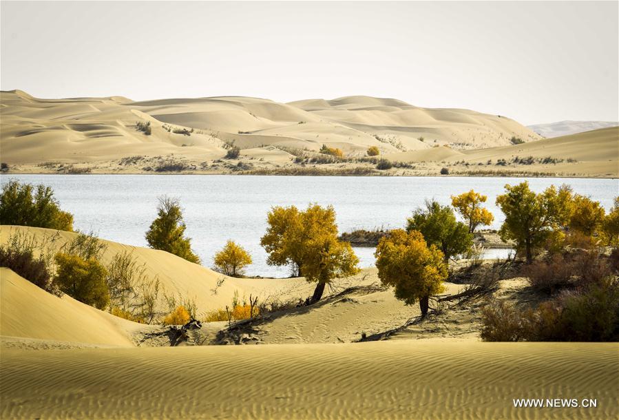 Scenery of Daxihaizi Reservoir on Tarim River in Xinjiang
